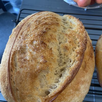 Sourdough Bread - Garlic