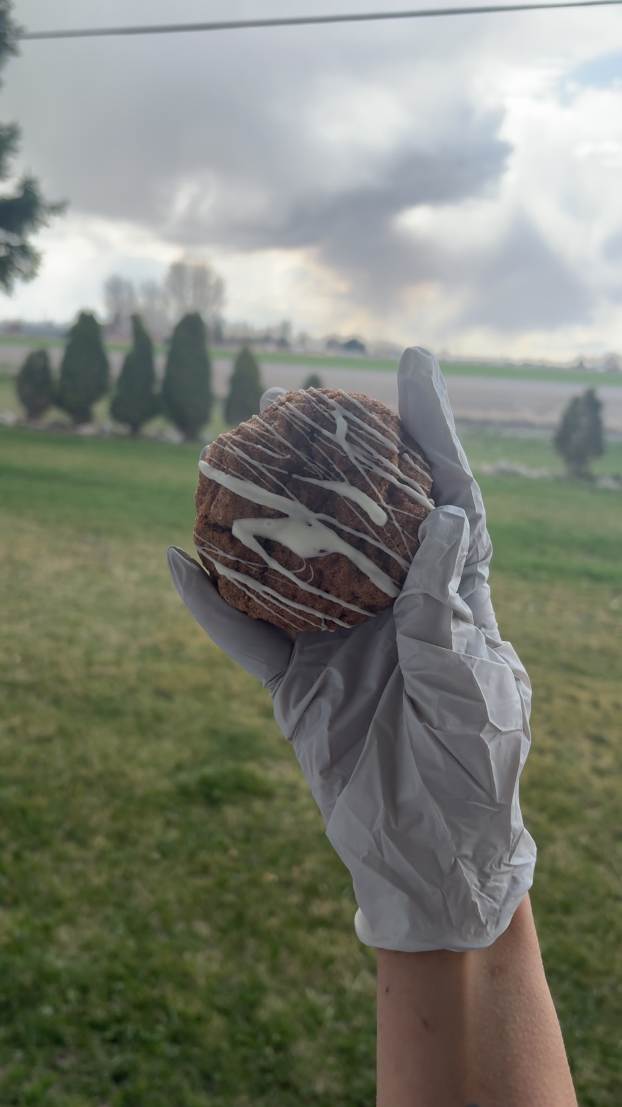 Carrot Cake Cookie 
