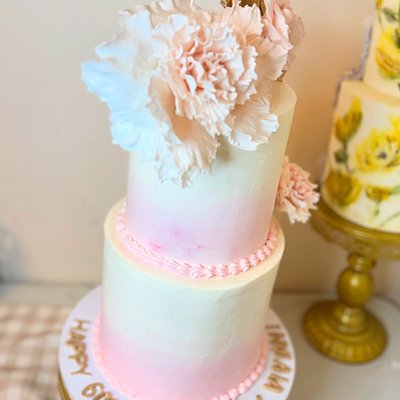 2 Tiered Custom Cakes
