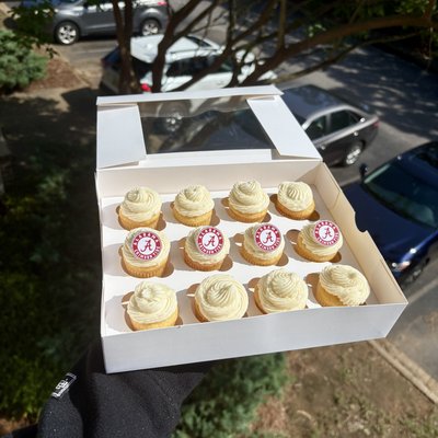 Mini Cupcakes 