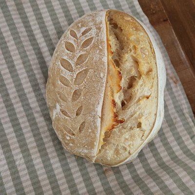 Plain Sourdough Loaf