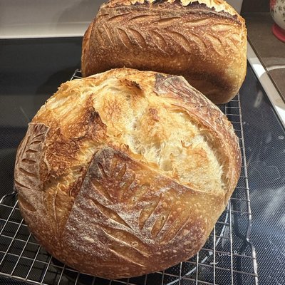 Sourdough Loaf