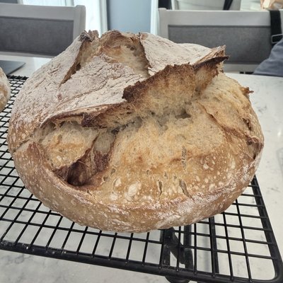 Cinna Swirl Sourdough Loaf
