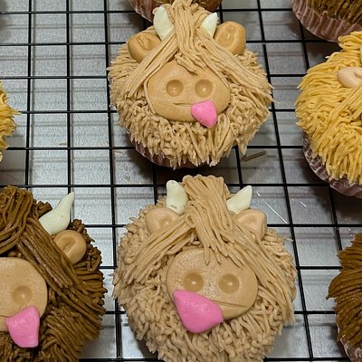 Cupcakes