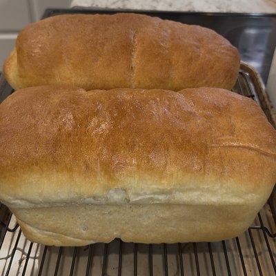 Bread Loaves 