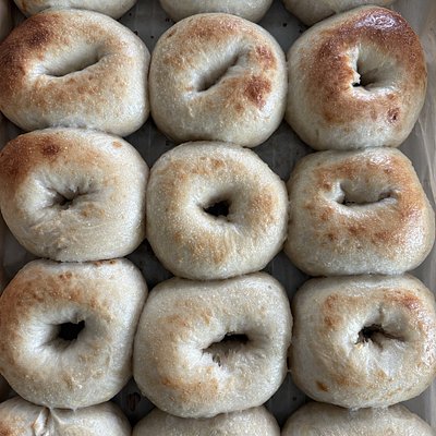 Plain Sourdough Bagels