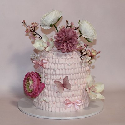 Dome Cake