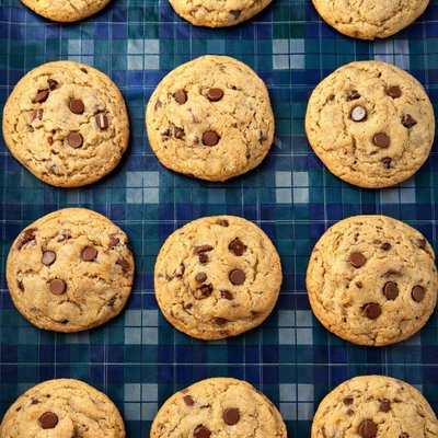 BB Chocolate Chip Sourdough Cookies - 6ct