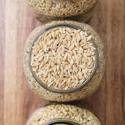 Fresh Milled Einkorn Flour (4lbs)