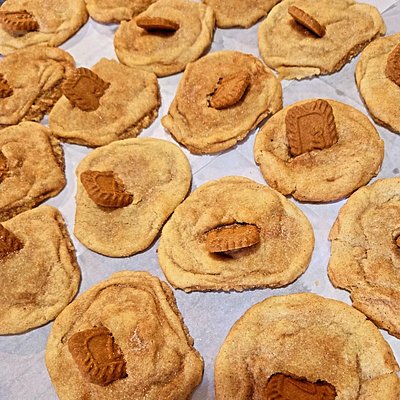 Cookie Butter Stuffed Snickerdoodles