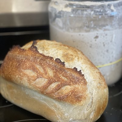 Plain Sourdough 
