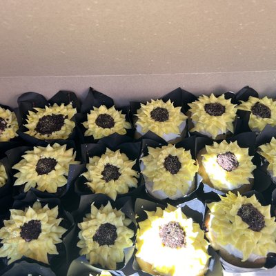 Cupcakes 