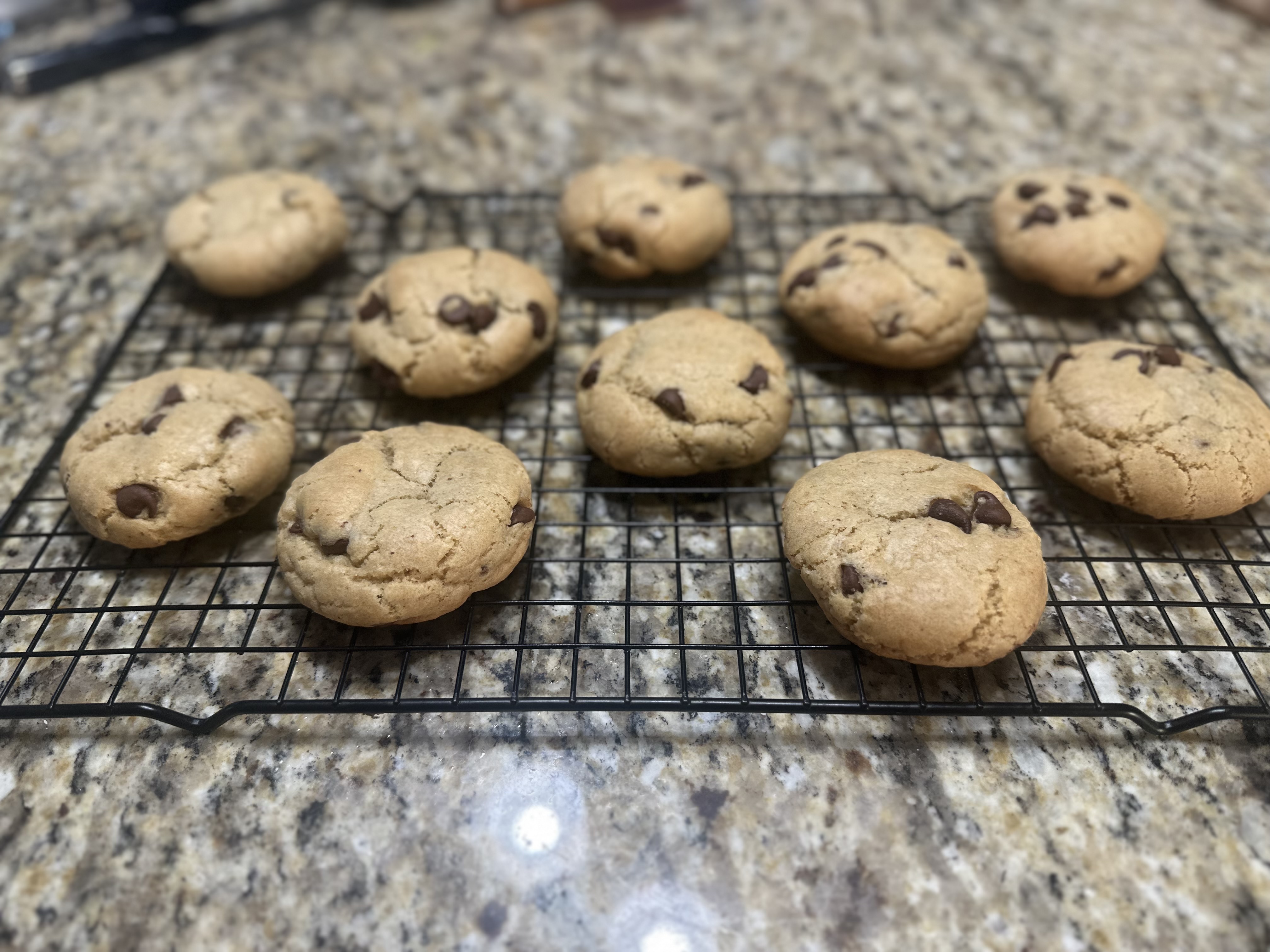 Sourdough Chocolate Chip Cookies 