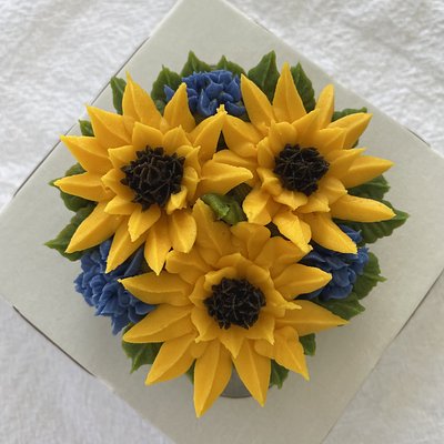 Wish Upon A Sunflower Cupcake Boxed