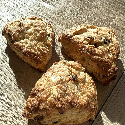 Orange Currant Almond Scone ~ Vegan
