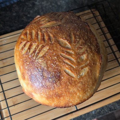 Plain Sourdough Loaf