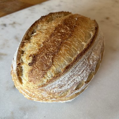 Sourdough : Oval Boule