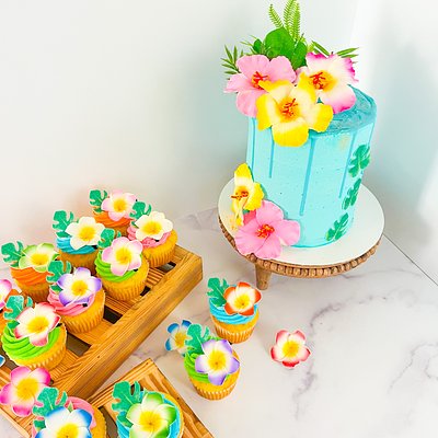 6” Cake + 12 Cupcakes 