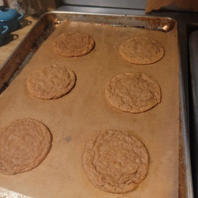 Sourdough Apple Cider Snickerdoodles