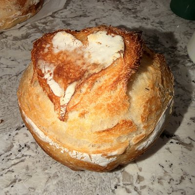Plain Sourdough Loaf 