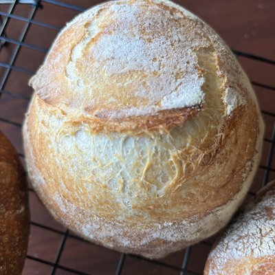 Sourdough Bread Bowls 