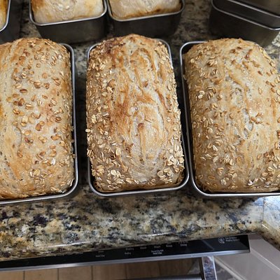 Honey Oat Sourdough Loaf 