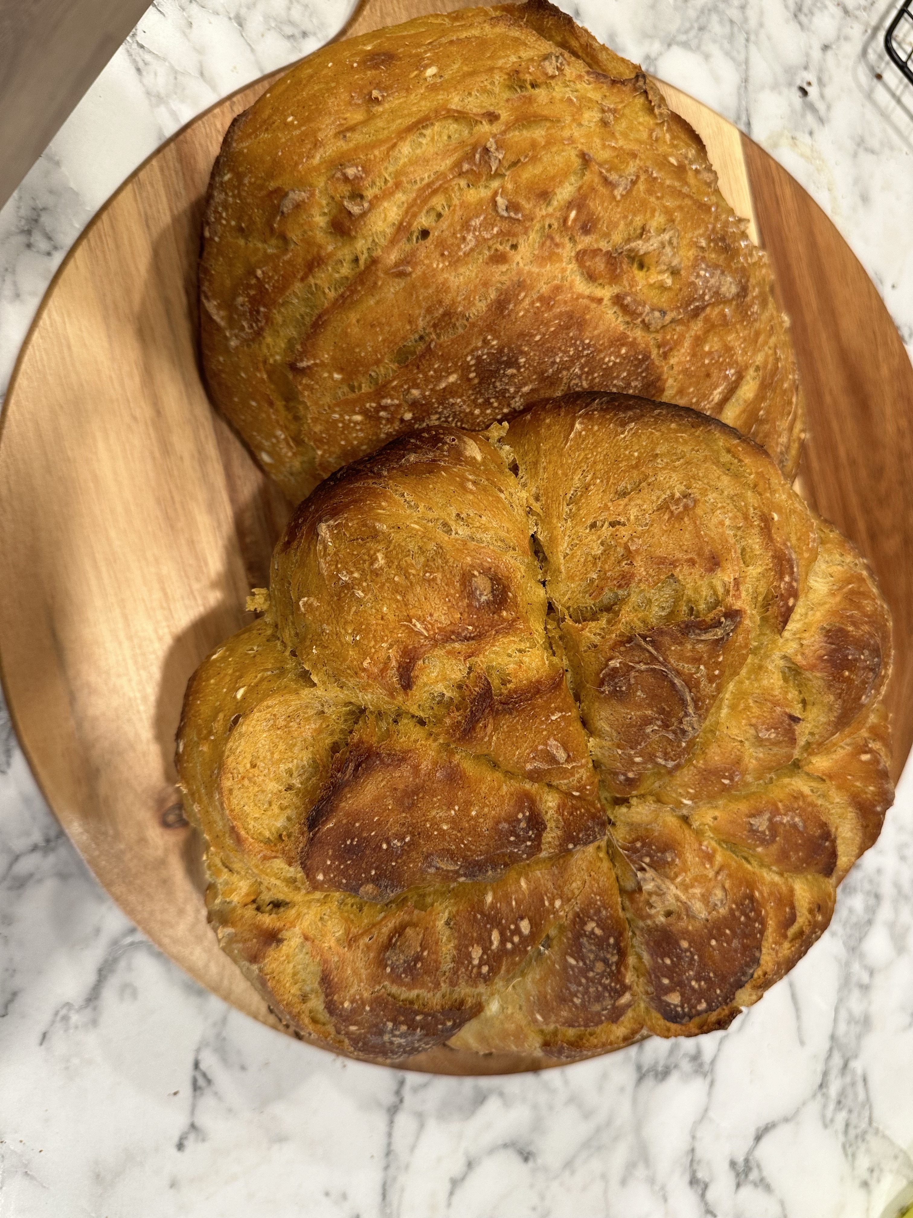 Sourdough Pumpkin Sugar