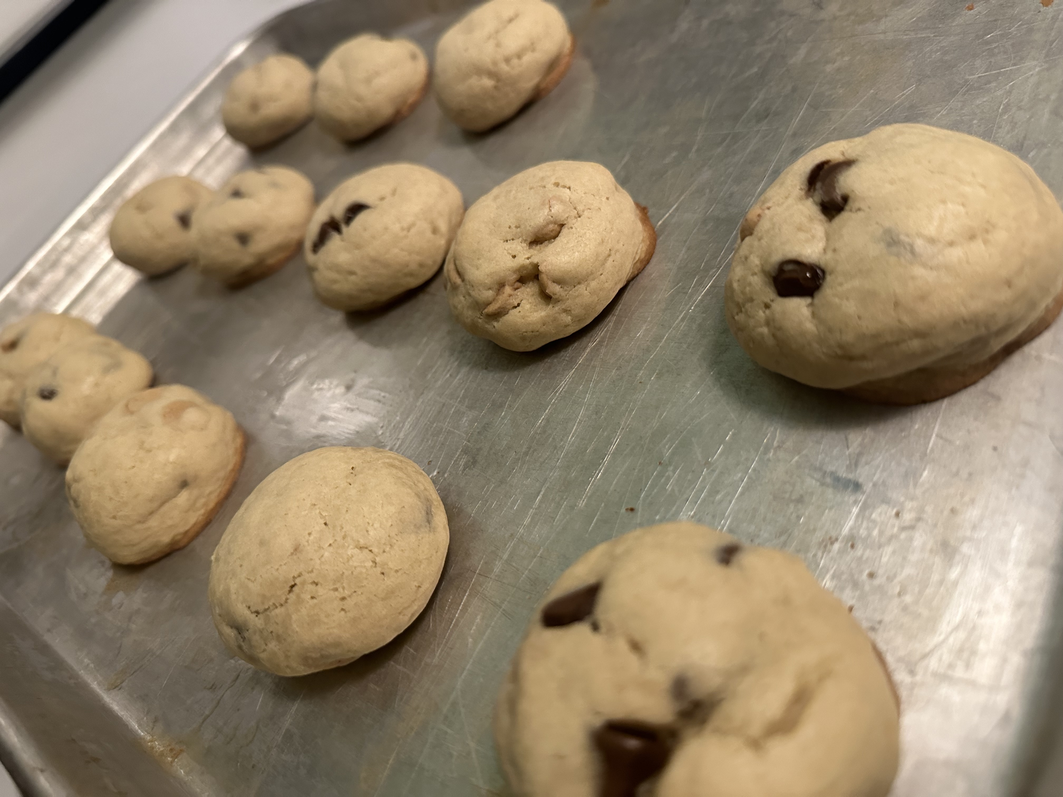 Chocolate & Peanut Butter Chip Cookies - Bakers Dozen 