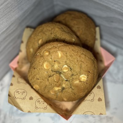 A Dozen Macadamia Nut 