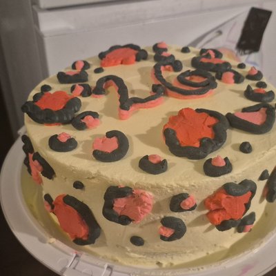 Party Cake 🎂