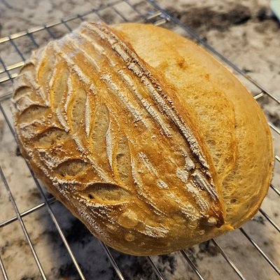 Mini - Traditional Sourdough Loaf