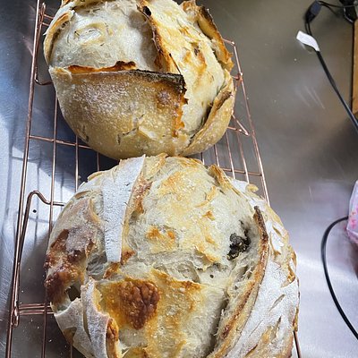 Monterey Jack Green Chile Sourdough