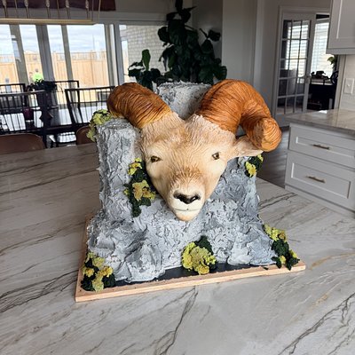 Sculpted Cake