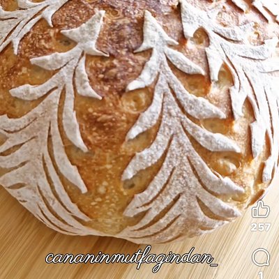 Organic Sourdough Christmas Tree Boule