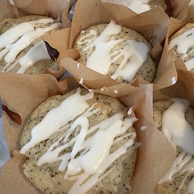 Organic Lemon Poppy Seed Muffins  (6)