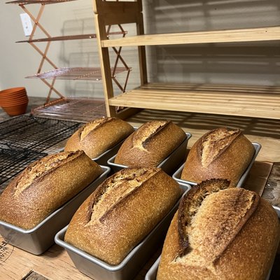 Whole Wheat Sourdough Sandwich Bread