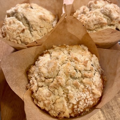 SOURDOUGH CHOCOLATE CHIP MUFFINS