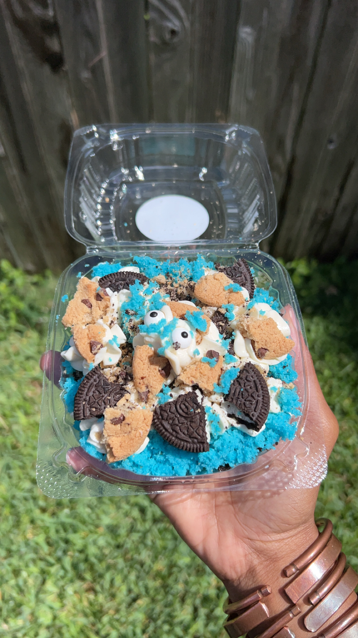 Small Cookie Monster Cheesecake Tray