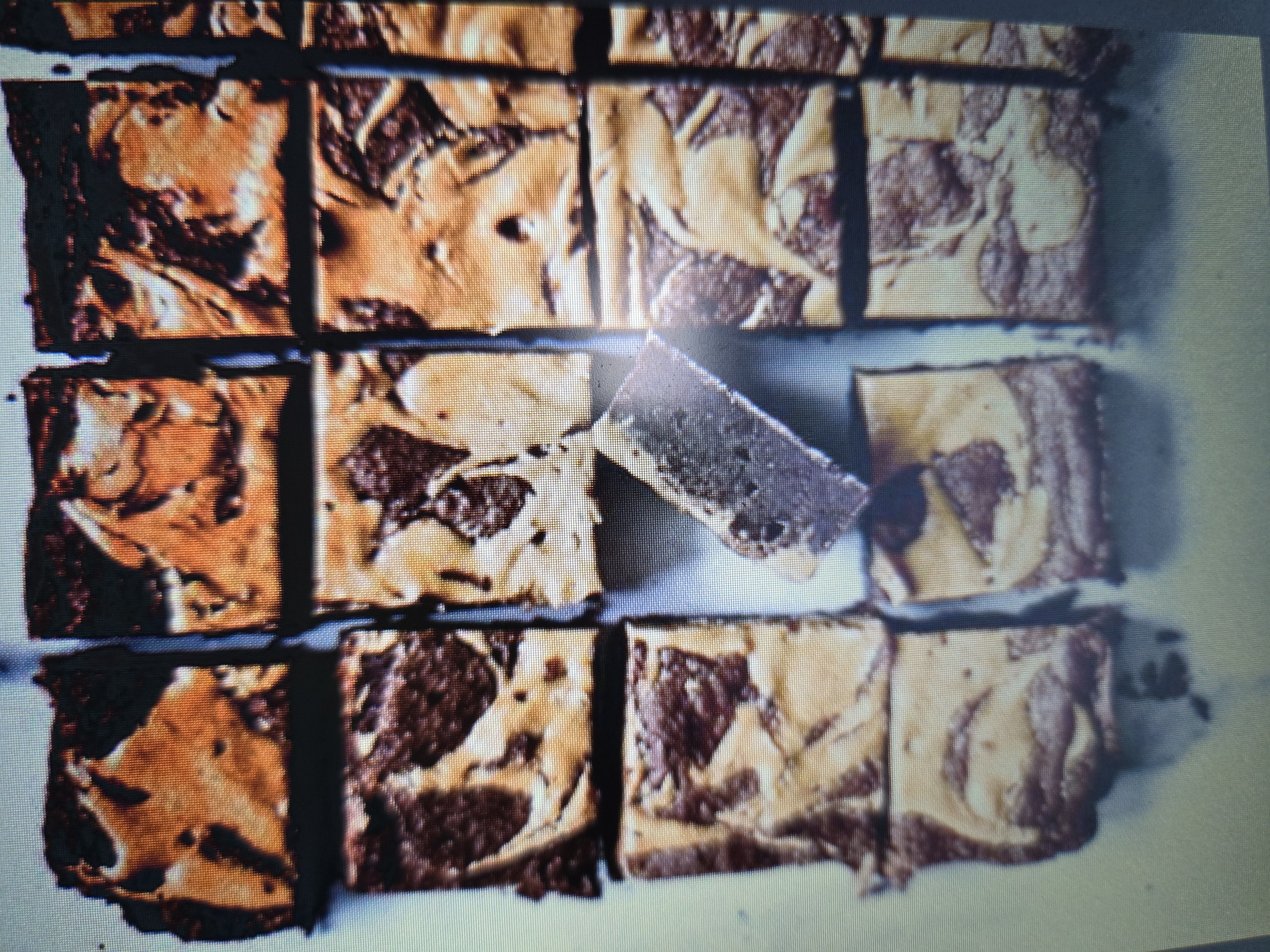 Peanut Butter Brownies