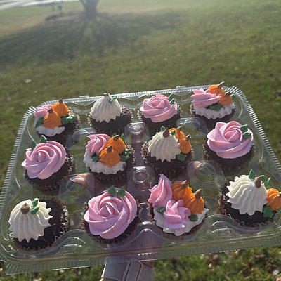 One Dozen Cupcakes