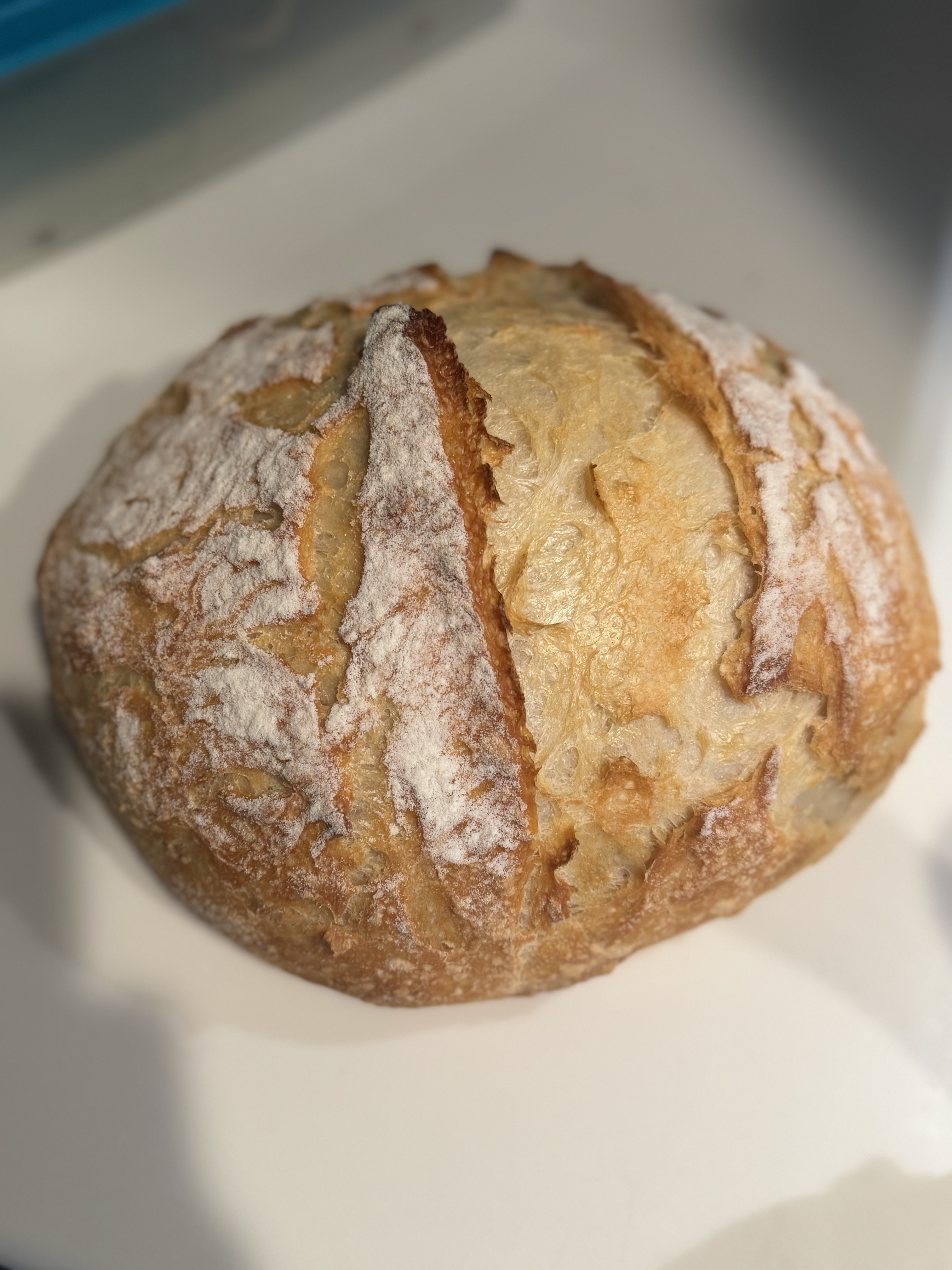 Sourdough Loaf