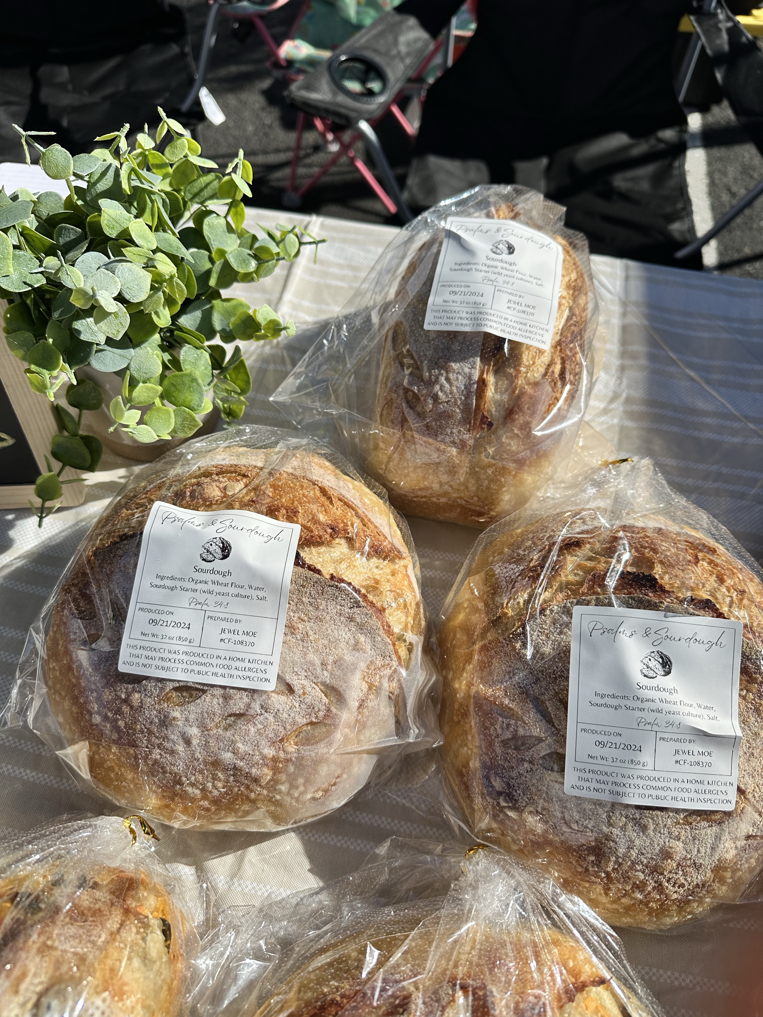 Original Sourdough