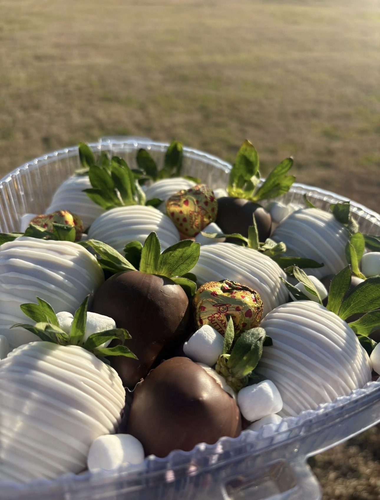 12ct Regular Dipped Berries