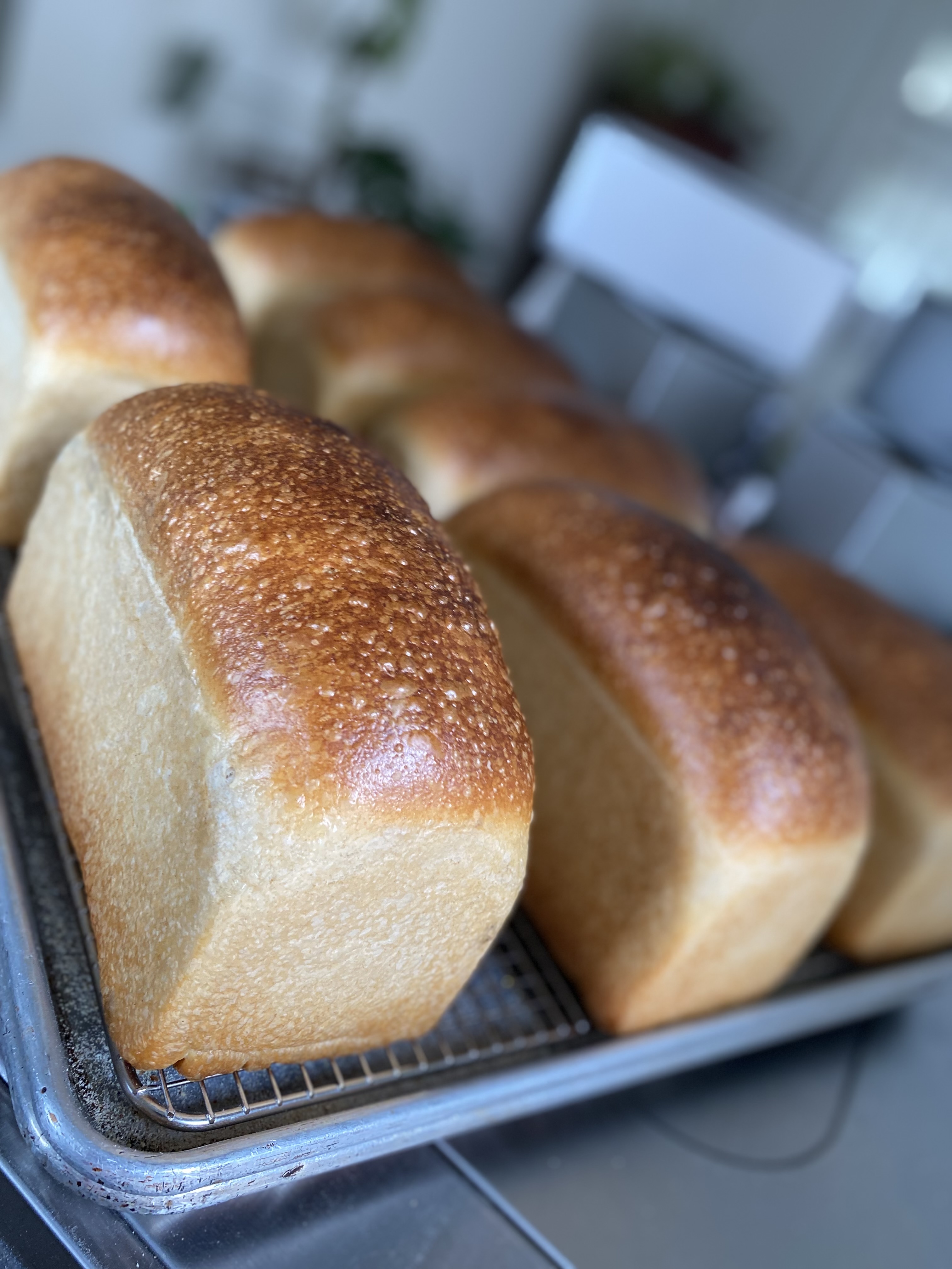 Classic Sandwich Bread