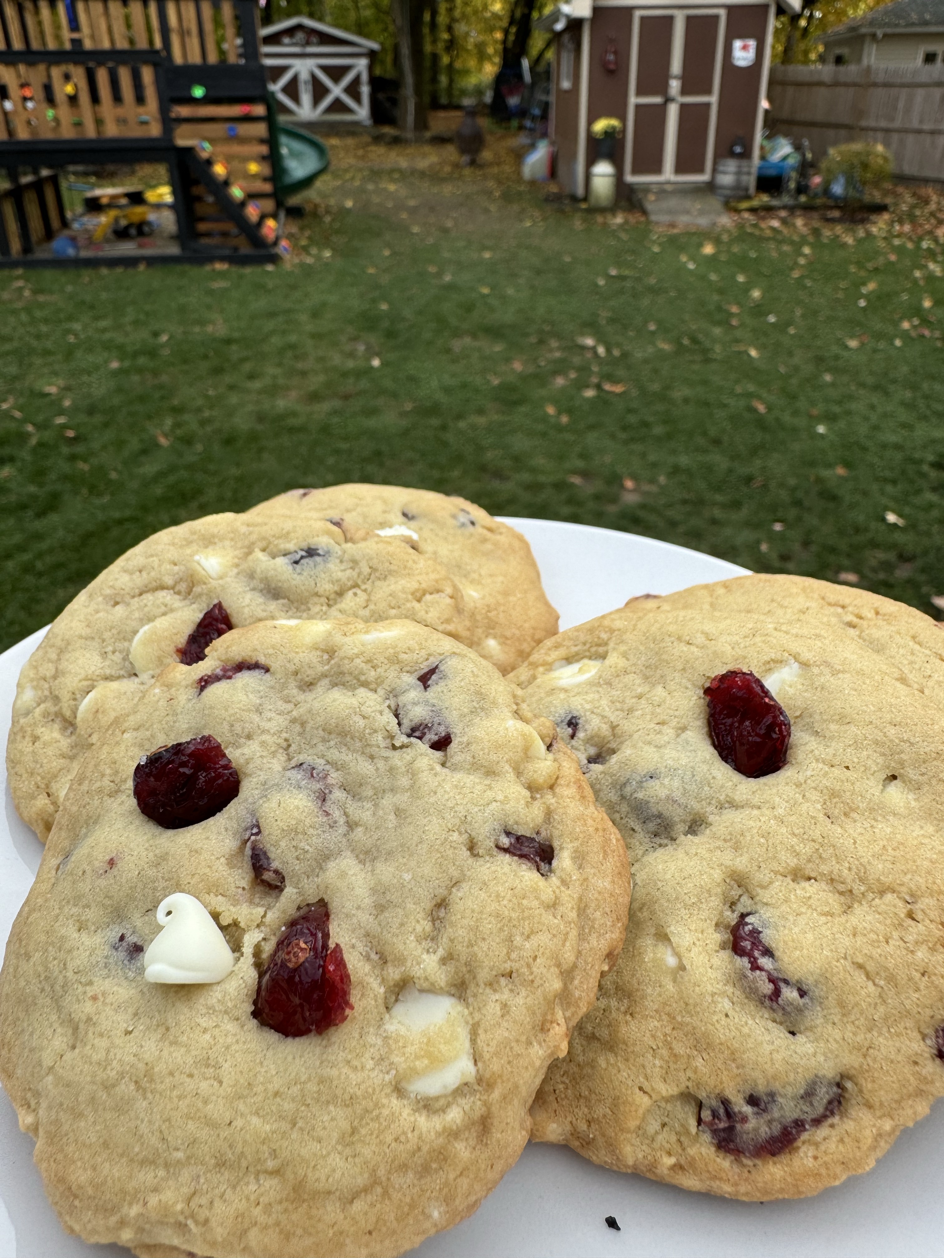 White Chocolate Cranberry 