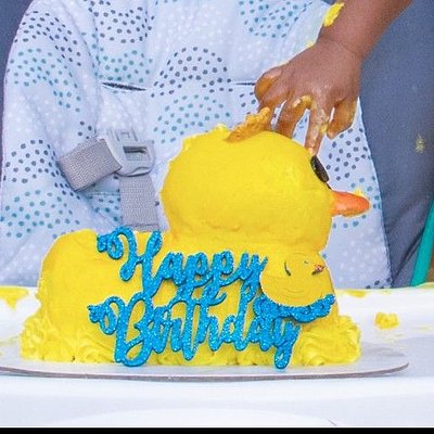 Smash Cakes ( Baby First Birthday) 