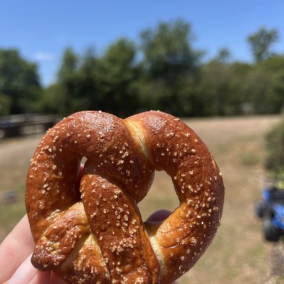 Sourdough Pretzels 
