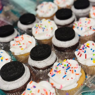 2 Dozen Cupcakes 