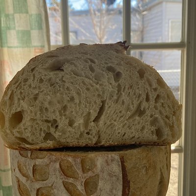Regular Sourdough