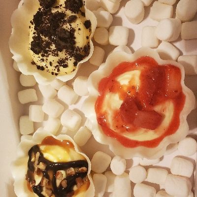 Mini Cheesecakes - Turtle, Strawberry. Oreo